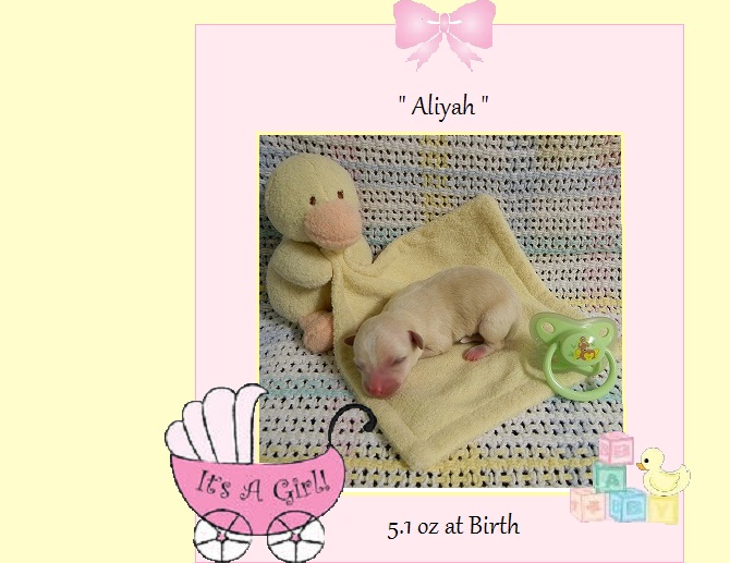 aliyah1dayold.jpg