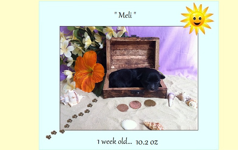 melis1weekold.jpg