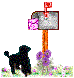 poodle_mail_box_animated.gif